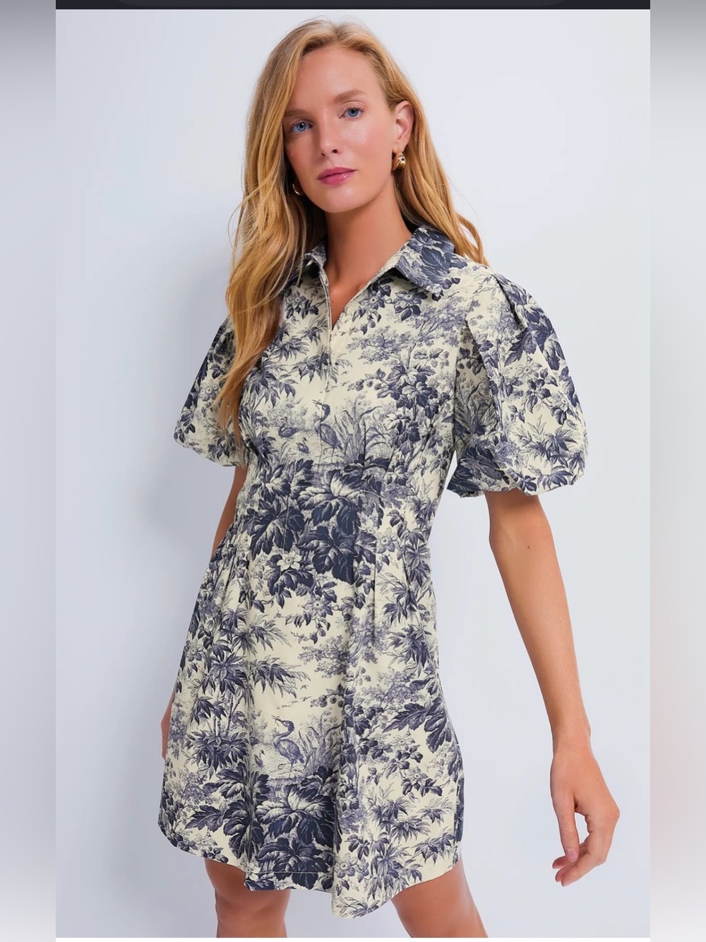 NWT - Tuckernuck Cream and Navy Toile Mini Dress
